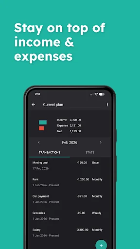 Financial Forecast - Budget screenshot 2