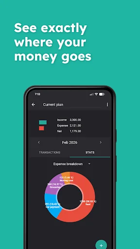 Financial Forecast - Budget screenshot 3