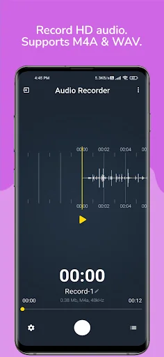Audio Recorder