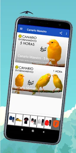 Canto de Canarios