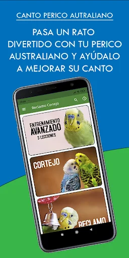 Canto Perico Australiano