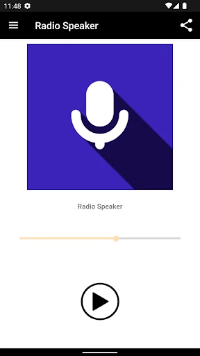Radio Speaker