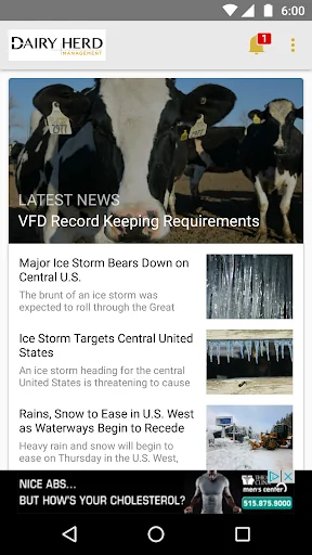 Dairy News and Markets