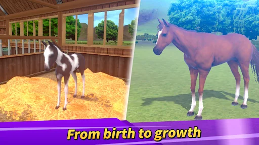 Derby Life : Horse racing screenshot 2