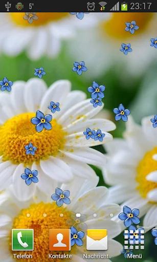 Camomiles live wallpaper