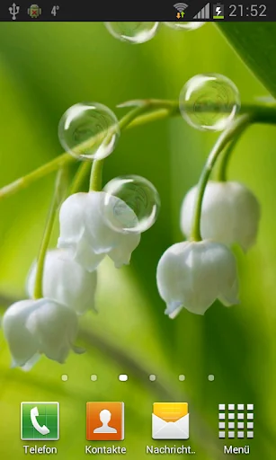 May-lily Live Wallpaper