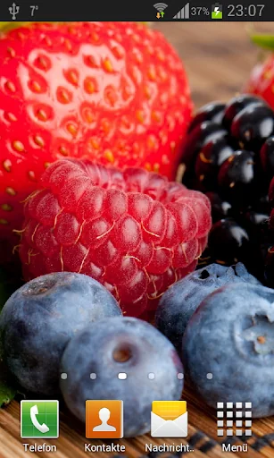 Wild berries live wallpaper screenshot 1