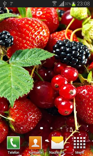 Wild berries live wallpaper screenshot 3