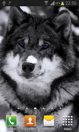 Wolves live wallpaper screenshot 2
