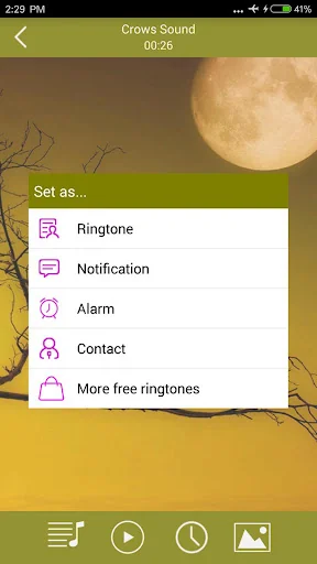 Birds Sounds & Ringtones screenshot 4