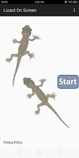 Lizard On Screen Prank screenshot 1