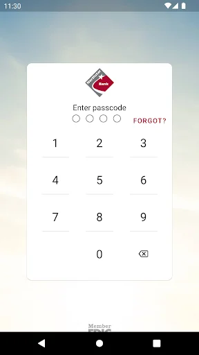 Northstar Bank Mobile Banking screenshot 1