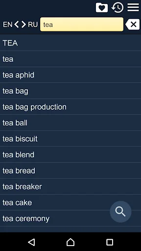 English-Russian Dictionary