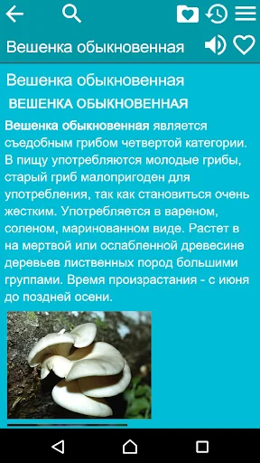Справочник грибника screenshot 3
