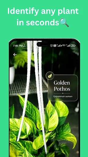 Planteck- your plant assistant
