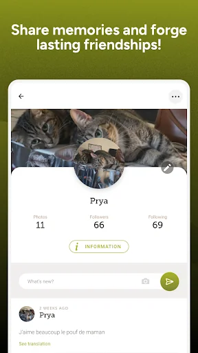 Yummypets - Dogs Cats Network screenshot 1