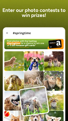 Yummypets - Dogs Cats Network screenshot 3