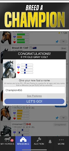 Off And Pacing: Horse Racing screenshot 4
