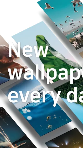 Backgrounds HD (Wallpapers) screenshot 1