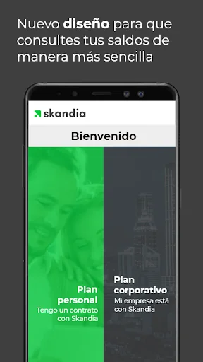 SKANDIA NET MX