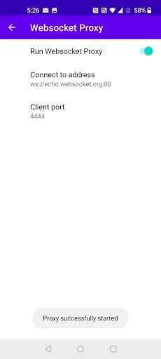 WebSocket Proxy