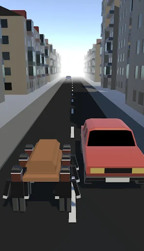 Coffin Run