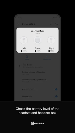 OnePlus Buds