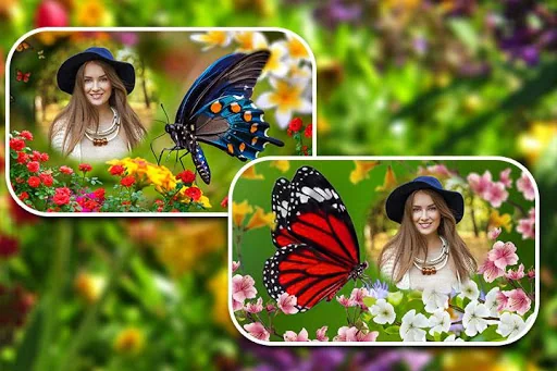 Butterfly Photo Frames