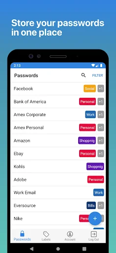 IronCrypto Password Manager