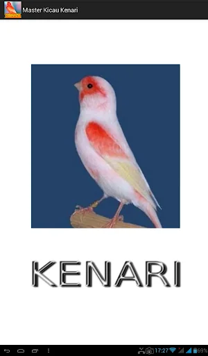 Master Kicau Kenari