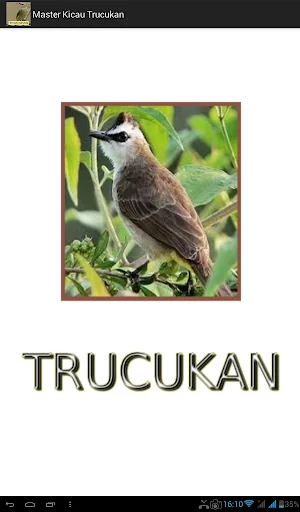 Master Kicau Trucukan