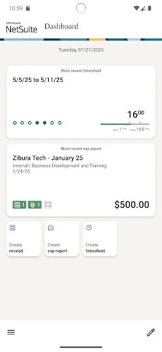 NetSuite SuiteProjects Pro