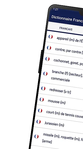 Dictionnaire Francais Allemand