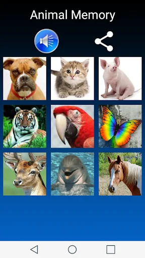 Animal Memory - Brain Game