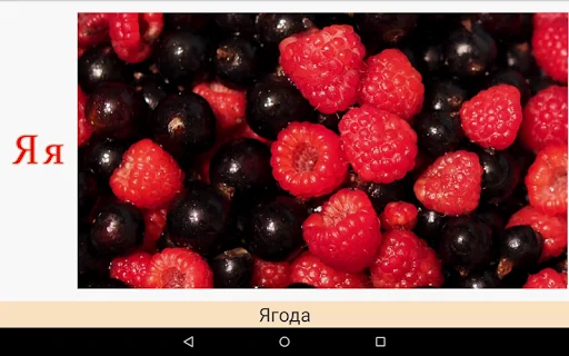 Азбука и Алфавит для малышей screenshot 3