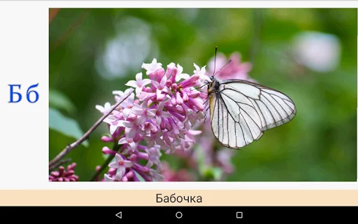 Азбука и Алфавит для малышей screenshot 4