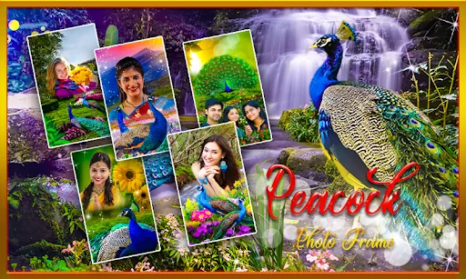 Peacock Photo Frames Garnish