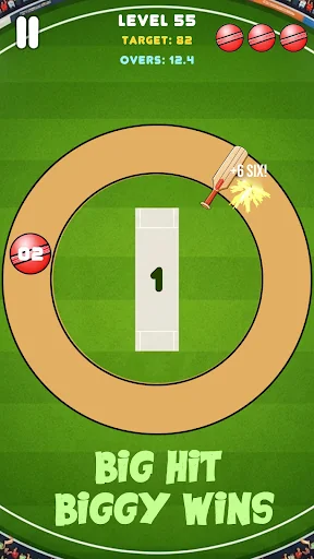 Cricket Smash: Boundary Arcade