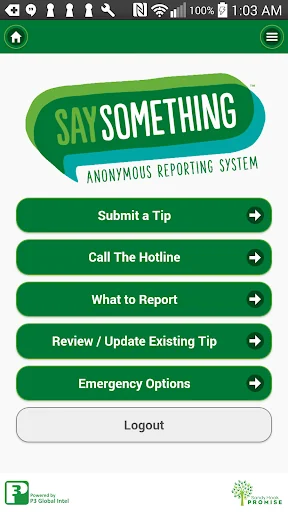 Say Something