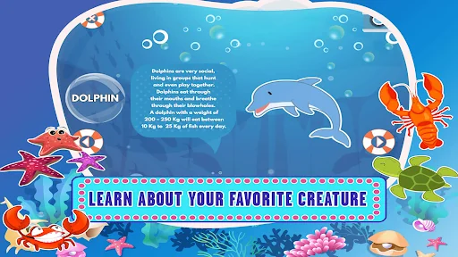 Learning Sea Animal Kids Games