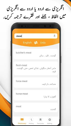 Urdu Dictionary