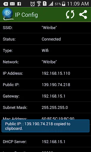 IPConfig - What is My IP? screenshot 2
