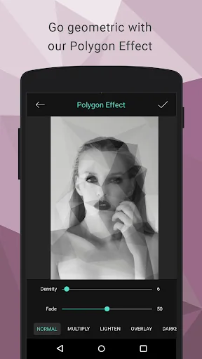 Polygon Effect - Low Poly Art