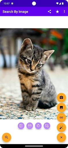 Search By Image screenshot 1