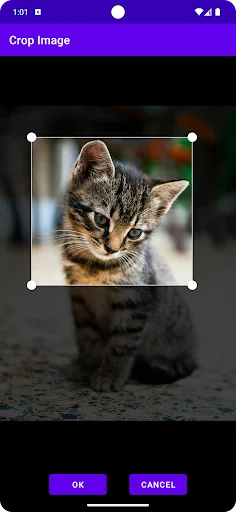 Search By Image screenshot 2