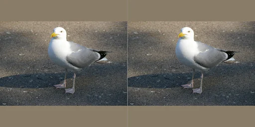 iPhotoVR Pro