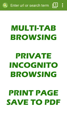 Tiny Browser Pro