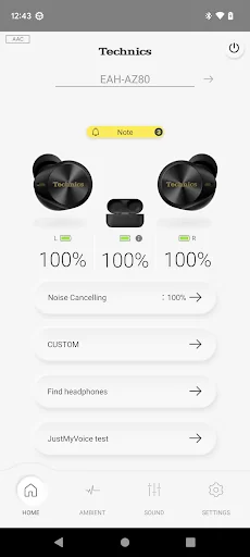 Technics Audio Connect