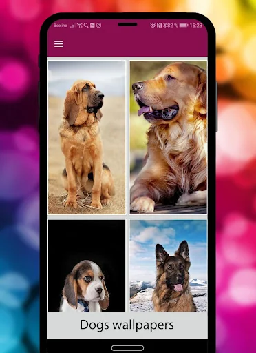 Dogs & puppies Wallpapers HD+