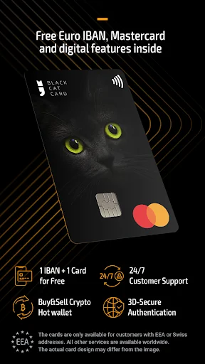 Blackcatcard